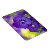 Lila Violas Magnet (Rechte Seite)
