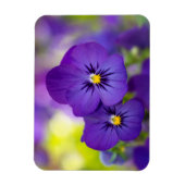 Lila Violas Magnet (Vertikal)