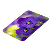 Lila Violas Magnet (Linke Seite)