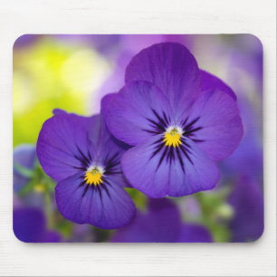 Lila Violas Mousepad
