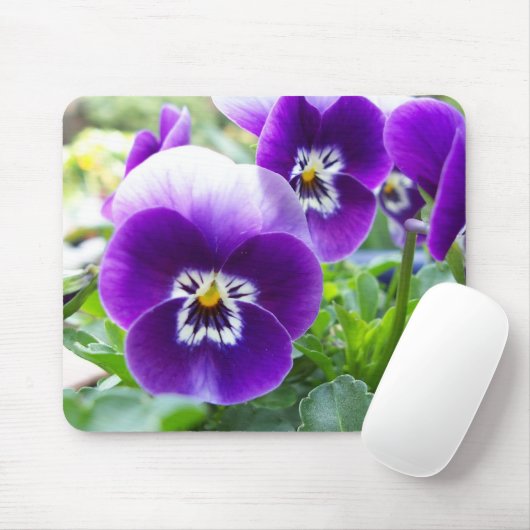 Lila Violas Mousepad (Mit Mouse)