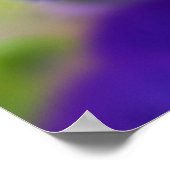 Lila Violas Poster (Ecke)