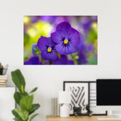 Lila Violas Poster (Heimbüro)