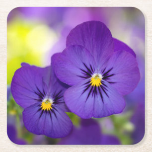 Lila Violas Rechteckiger Pappuntersetzer