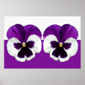 Lila Violet-Pansy-Blume Poster (Vorne)