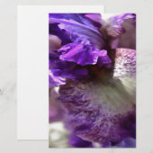 Lila, Violet und Mauve Iris Abstrakt Briefpapier (Vorne/Hinten)