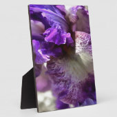 Lila, Violet und Mauve Iris Abstrakt Fotoplatte (Seite)