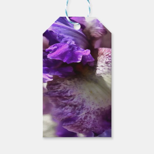 Lila, Violet und Mauve Iris Abstrakt Geschenkanhänger (Vorderseite)
