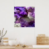 Lila, Violet und Mauve Iris Abstrakt Poster (Küche)