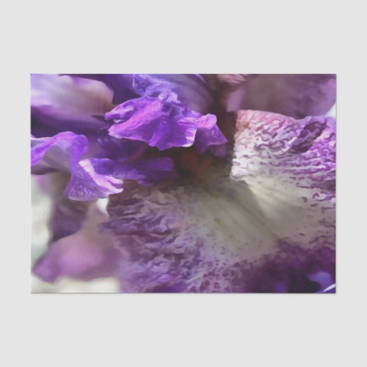 Lila, Violet und Mauve Iris Abstrakt Seidenpapier (Vorderseite)