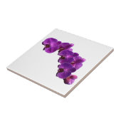Lila Violett Orchid Blume Fliese (Seite)