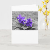 Lila Violette, Karte (Gelbe Blume)