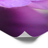 Lila Violetten-Wand-Plakat Poster (Ecke)