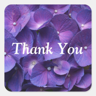 Lila Viollet Hydrangea Dankeschön Sticker