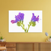 Lila Viper Bugloss (Echinplantaginum) Leinwanddruck (Insitu (Wohnzimmer))