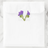 Lila Viper Bugloss (Echinplantaginum) Quadratischer Aufkleber (Tasche)
