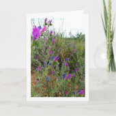 Lila Viper-Bugloss, Echium-Pflanze Karte (Vorderseite)