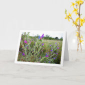 Lila Viper's bugloss, Echium Pflanze Karte (Gelbe Blume)