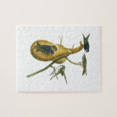 Lila Vögel Martins John James Audubon von Amerika Puzzle (Horizontal)