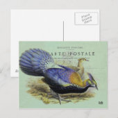 Lila Vogel Postkarte (Vorne/Hinten)