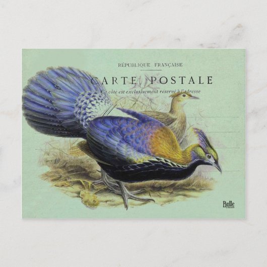 Lila Vogel Postkarte (Vorderseite)