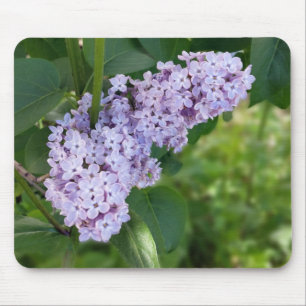 Lila-Vorhang Mousepad