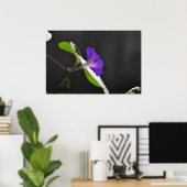 Lila Vormittagsruhm Blume Poster (Heimbüro)