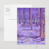 Lila Wald 2012 Postkarte (Vorne/Hinten)