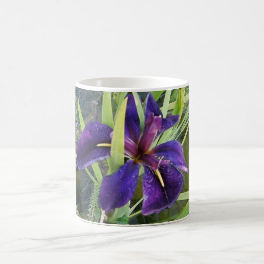 Lila Wasser-Iris Kaffeetasse (Mittel)