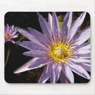 Lila Wasser-Lilie Mousepad