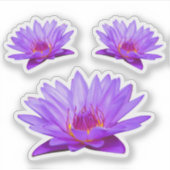 Lila Wasser Lilies Vinyl Sticker (Vorderseite)