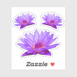 Lila Wasser Lilies Vinyl Sticker