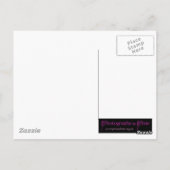 Lila Wasser Postkarte (Rückseite)