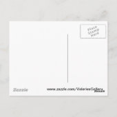 Lila Wasserlilie 002 Schwarzweißhintergrund Postkarte (Rückseite)