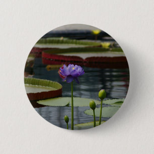 Lila Wasserlilie Button