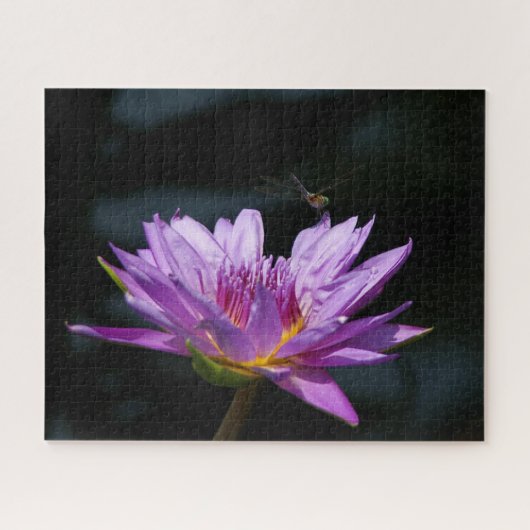 Lila Wasserlilie Dragonfly Jigsaw Puzzle (Horizontal)