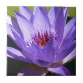 Lila Wasserlilie Fliese (Vorderseite)