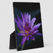 Lila Wasserlilie Fotoplatte (Seite)