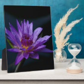 Lila Wasserlilie Fotoplatte (Seite)