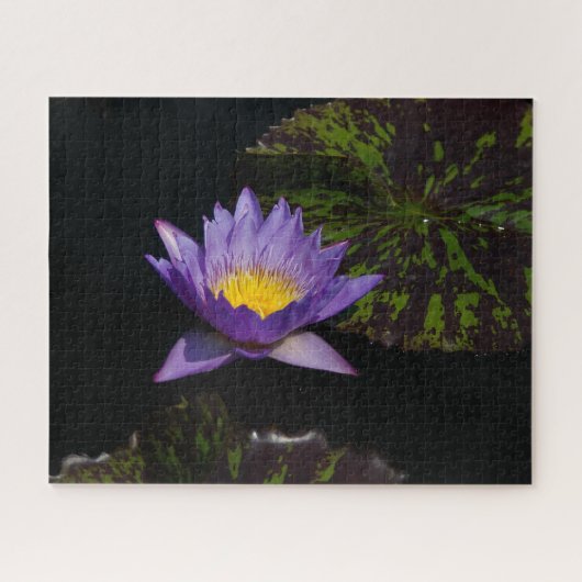 Lila Wasserlilie Jigsaw Puzzle (Horizontal)