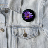 Lila Wasserlilie Lotus Button (Beispiel)