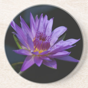 Lila Wasserlilie Lotus Getränkeuntersetzer