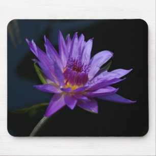 Lila Wasserlilie Lotus Mousepad