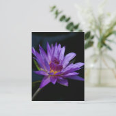Lila Wasserlilie Lotus Postkarte (Stehend Vorderseite)
