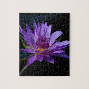 Lila Wasserlilie Lotus Puzzle