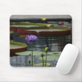 Lila Wasserlilie Mousepad (Mit Mouse)