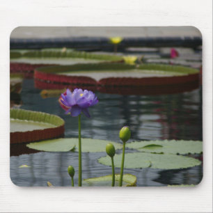 Lila Wasserlilie Mousepad