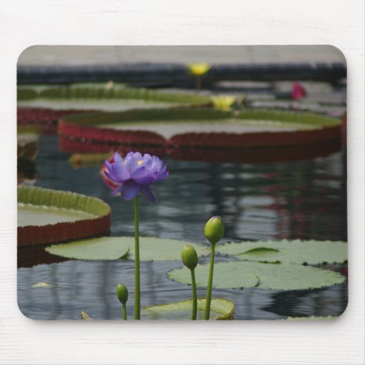 Lila Wasserlilie Mousepad (Vorne)