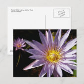 Lila Wasserlilie Postkarte (Vorne/Hinten)