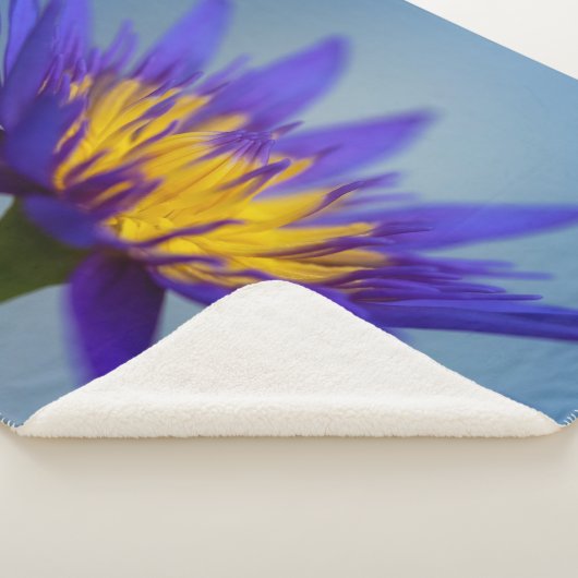 Lila Wasserlilie Sherpadecke (3/4)